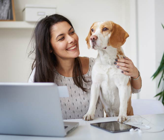 Woman reviewing her personal money market account with dog by her side